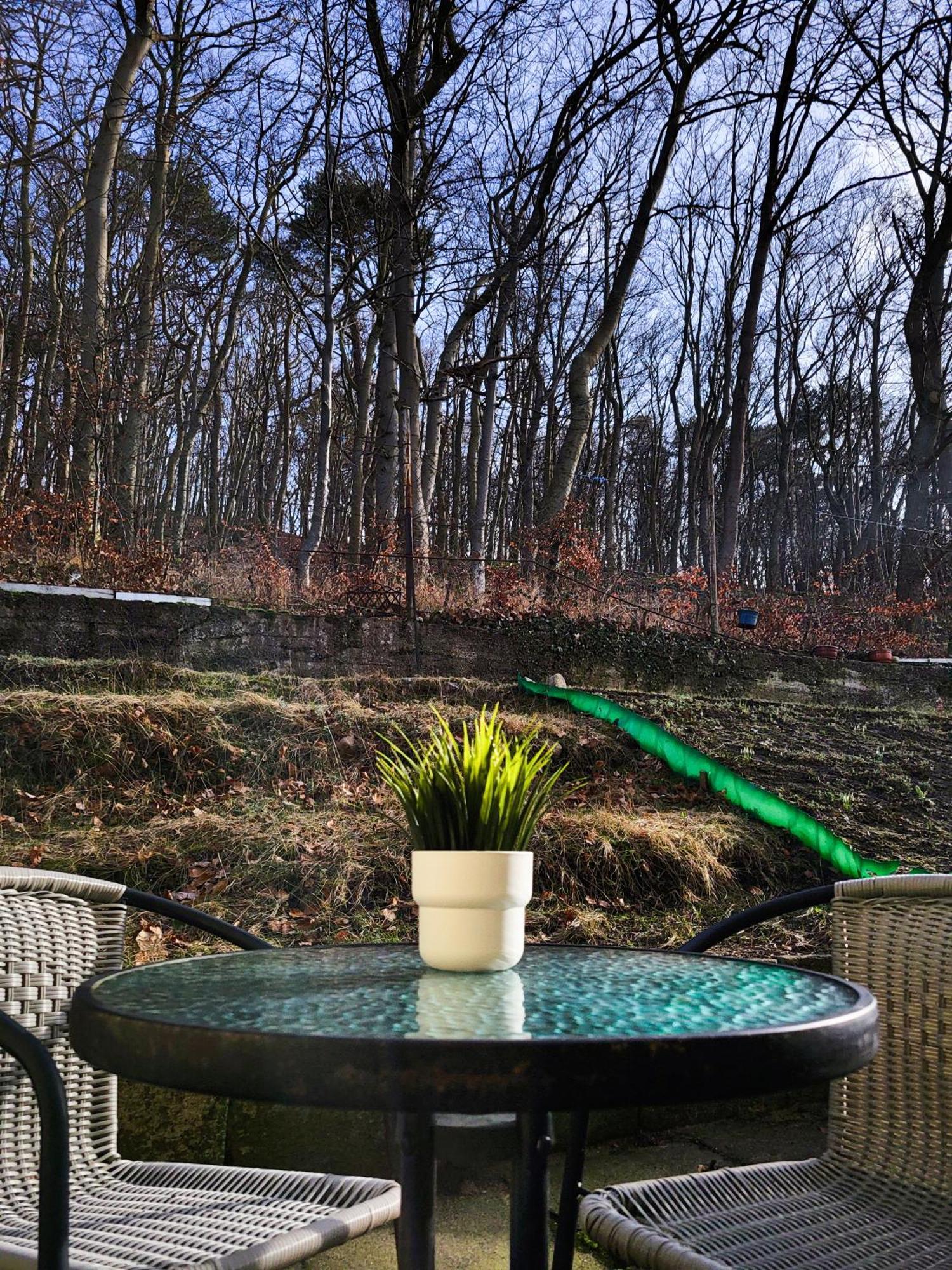 Apartament Sea&Forest Międzyzdroje Zewnętrze zdjęcie